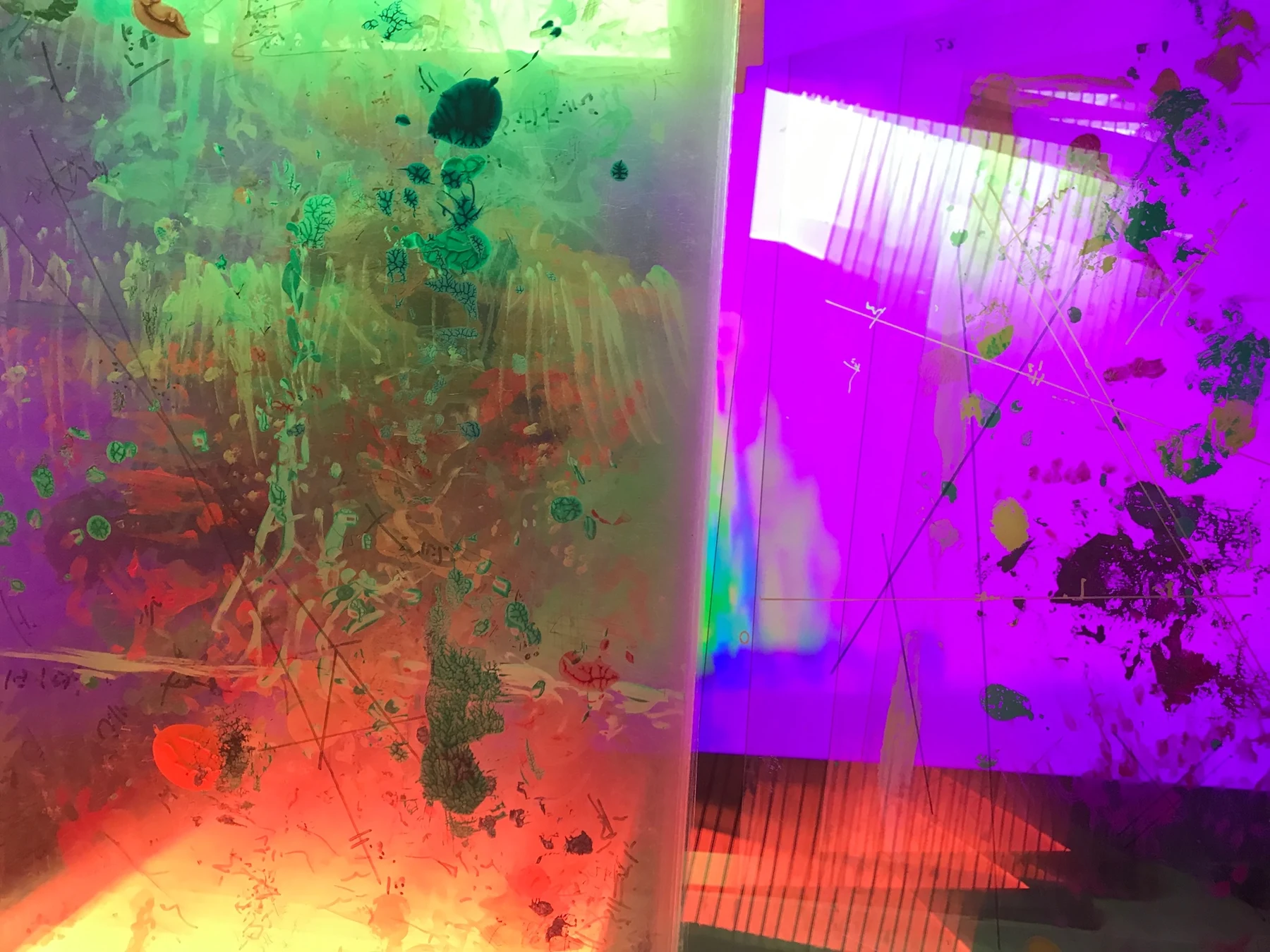 Installation Colorium
